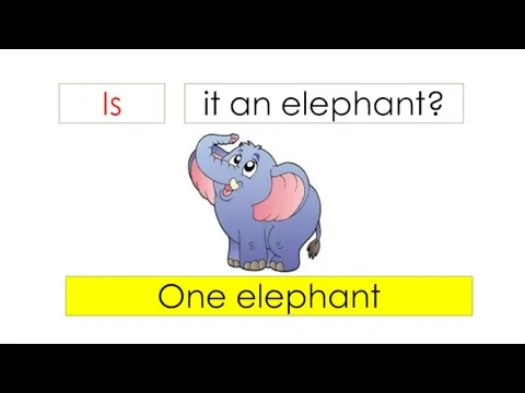 Is it an elephant? One elephant