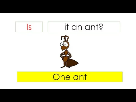 Is it an ant? One ant