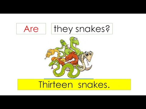 Are they snakes? Thirteen snakes.
