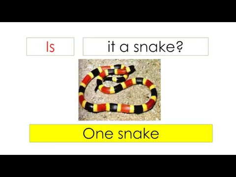 Is it a snake? One snake
