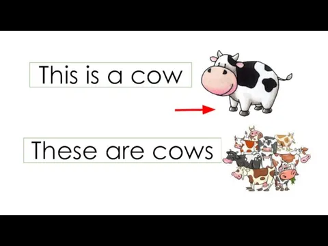 This is a cow These are cows