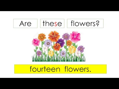 Are flowers? fourteen flowers. these