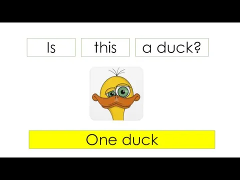 Is a duck? One duck this