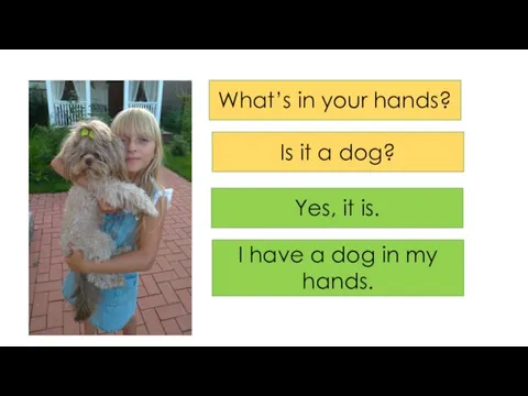 What’s in your hands? Is it a dog? Yes, it is. I