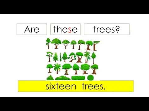 Are trees? sixteen trees. these