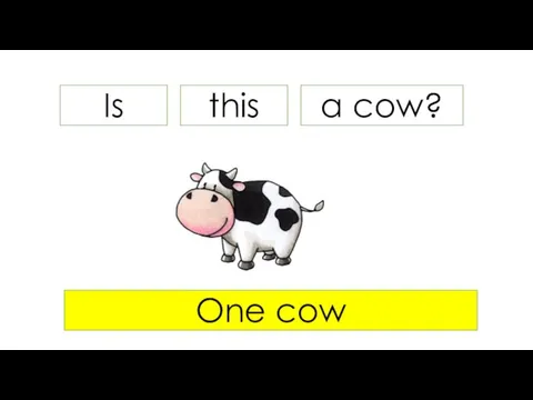 Is a cow? One cow this