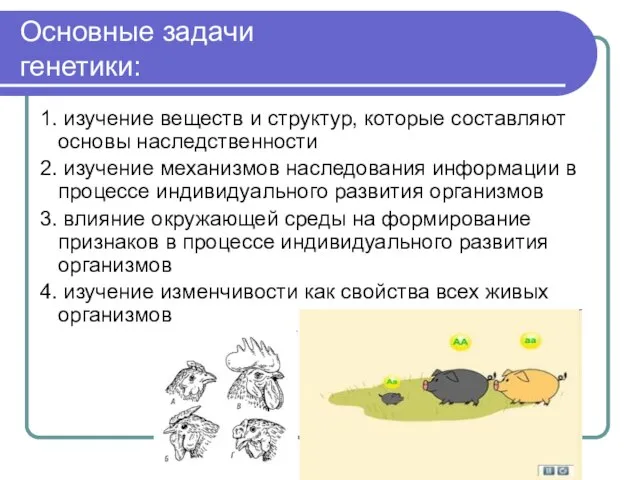 Основные задачи генетики: 1. изучение веществ и структур, которые составляют основы наследственности