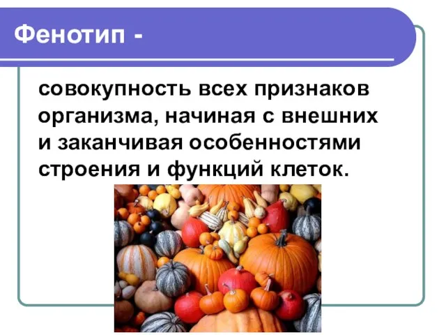 Фенотип - совокупность всех признаков организма, начиная с внешних и заканчивая особенностями строения и функций клеток.