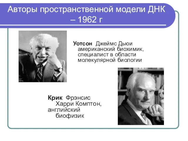 Авторы пространственной модели ДНК – 1962 г Уотсон Джеймс Дьюи американский биохимик,