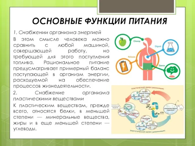 ОСНОВНЫЕ ФУНКЦИИ ПИТАНИЯ 1. Снабжении организма энергией В этом смысле человека можно