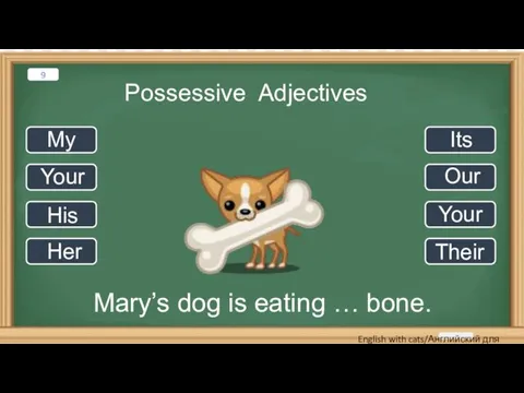 Possessive Adjectives Mary’s dog is eating … bone. My Your His Her