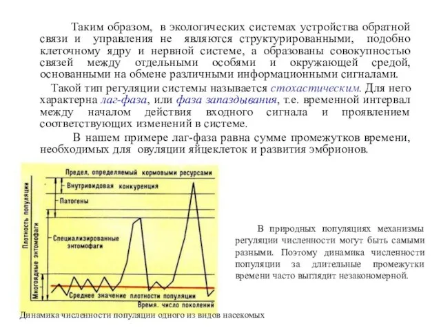 Таким образом, в экологических системах устройства обратной связи и управления не являются