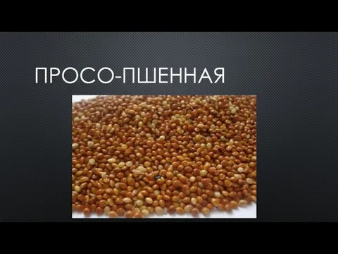 ПРОСО-ПШЕННАЯ