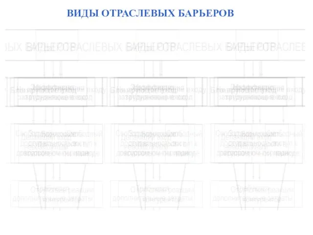 ВИДЫ ОТРАСЛЕВЫХ БАРЬЕРОВ