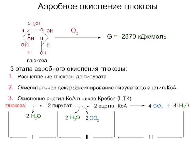 Аэробное окисление глюкозы глюкоза G = -2870 кДж/моль 3 этапа аэробного окисления