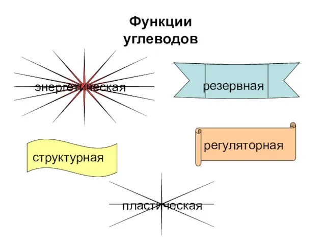 Функции углеводов