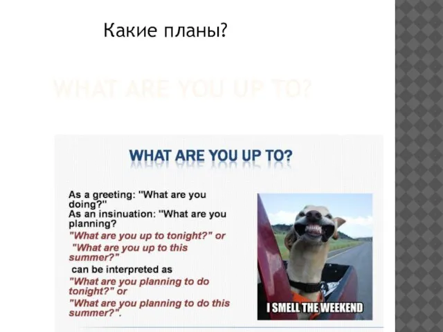 WHAT ARE YOU UP TO? Какие планы?