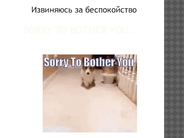 SORRY TO BOTHER YOU… Извиняюсь за беспокойство