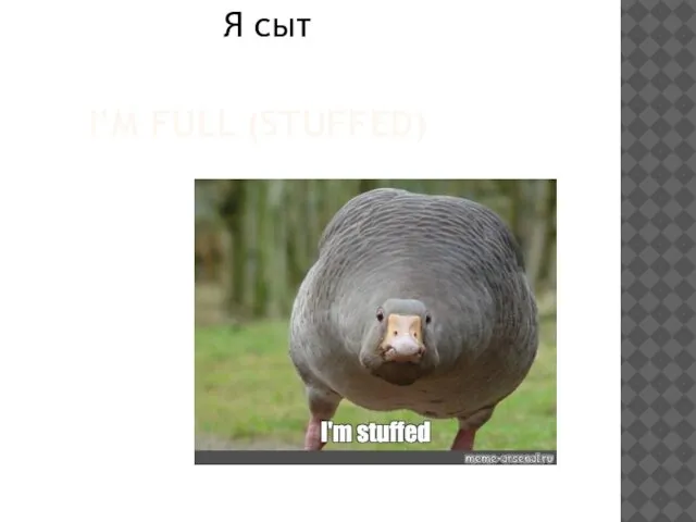 I’M FULL (STUFFED) Я сыт