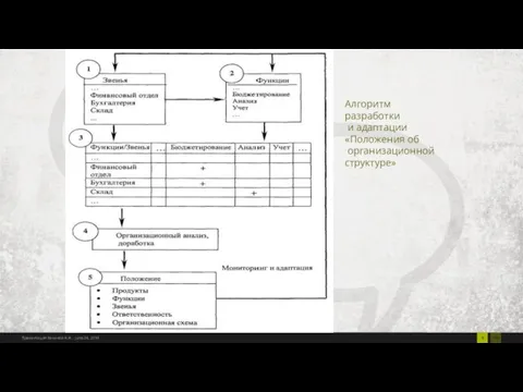 Алгоритм разработки и адаптации «Положения об организационной структуре»