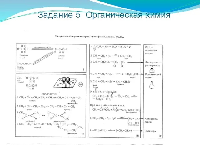 Задание 5 Органическая химия