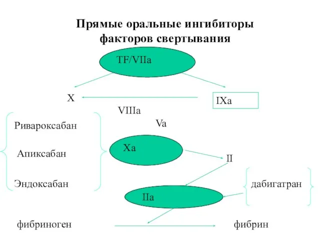Прямые оральные ингибиторы факторов свертывания TF/VIIa Xa IIa IXa VIIIa X II