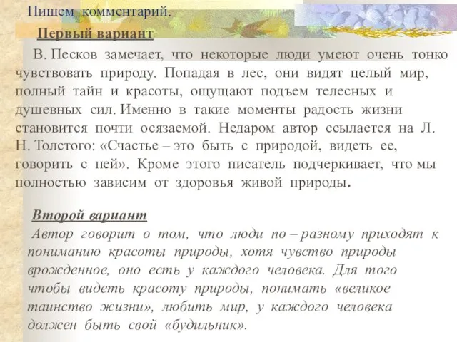 Пишем комментарий. Первый вариант В. Песков замечает, что некоторые люди умеют очень