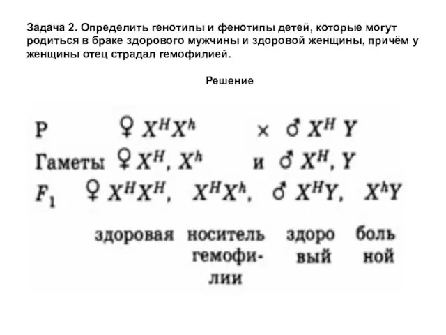 Задача 2. Определить генотипы и фенотипы детей, которые могут родиться в браке