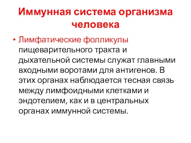 Иммунная система организма человека Лимфатические фолликулы пищеварительного тракта и дыхательной системы служат