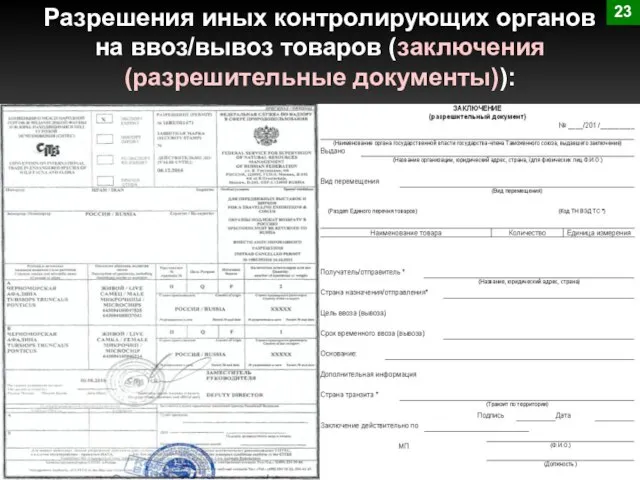 Разрешения иных контролирующих органов на ввоз/вывоз товаров (заключения (разрешительные документы)): 23