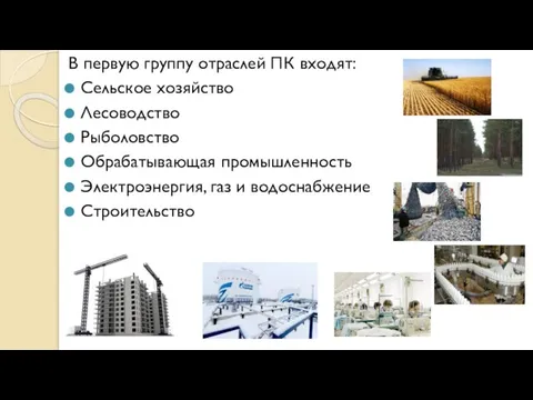 В первую группу отраслей ПК входят: Сельское хозяйство Лесоводство Рыболовство Обрабатывающая промышленность