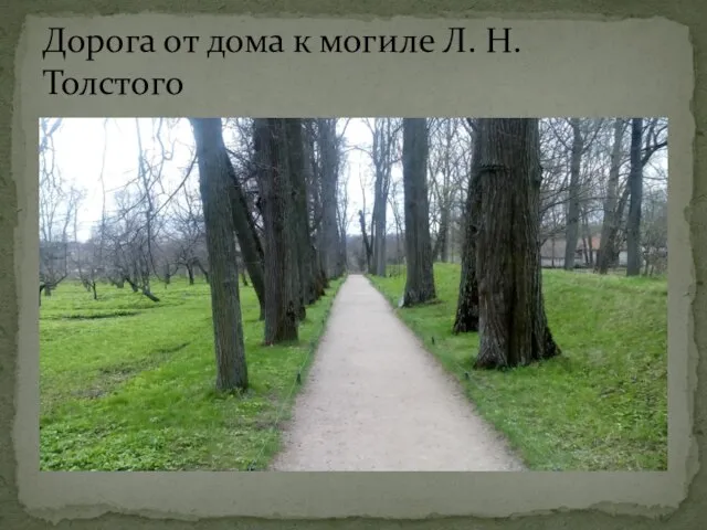 Дорога от дома к могиле Л. Н. Толстого