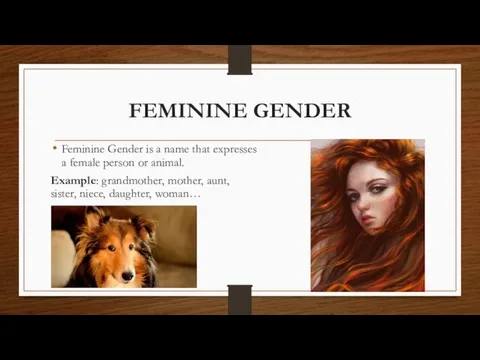FEMININE GENDER Feminine Gender is a name that expresses a female person
