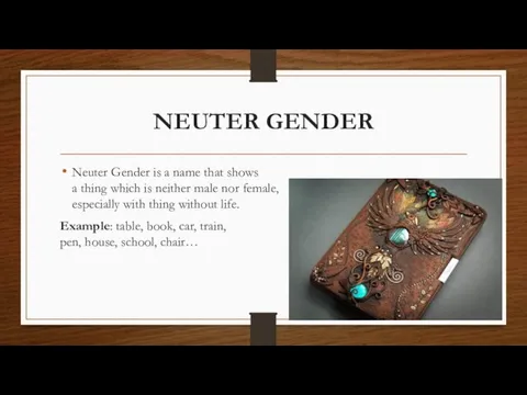 NEUTER GENDER Neuter Gender is a name that shows a thing which