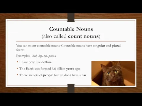 Countable Nouns (also called count nouns) You can count countable nouns. Countable