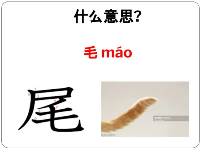 什么意思? 毛 máo