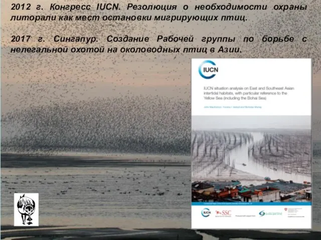 2012 г. Конгресс IUCN. Резолюция о необходимости охраны литорали как мест остановки