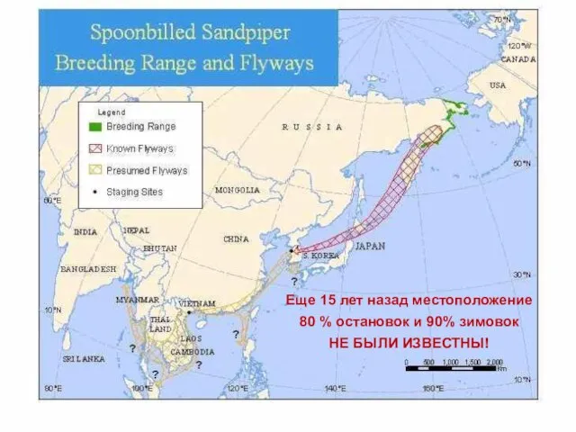 Еще 15 лет назад местоположение 80 % остановок и 90% зимовок НЕ БЫЛИ ИЗВЕСТНЫ!