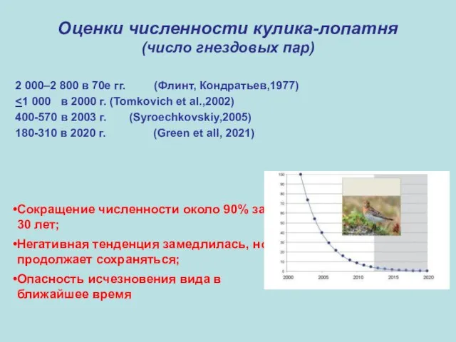 Оценки численности кулика-лопатня (число гнездовых пар) 2 000–2 800 в 70е гг.