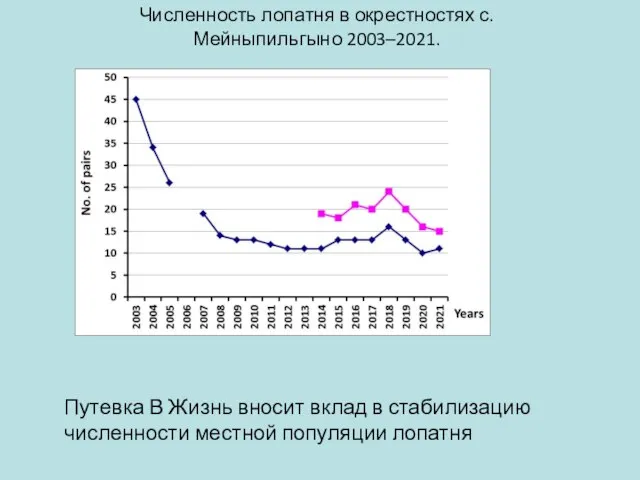 Численность лопатня в окрестностях с. Мейныпильгыно 2003–2021. Путевка В Жизнь вносит вклад