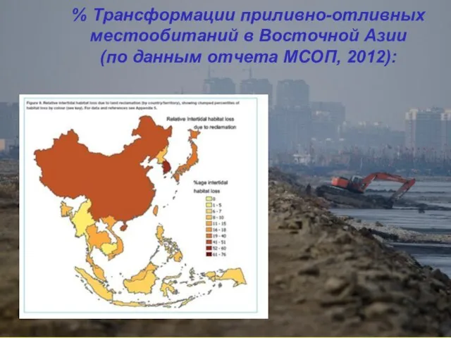 % Трансформации приливно-отливных местообитаний в Восточной Азии (по данным отчета МСОП, 2012):