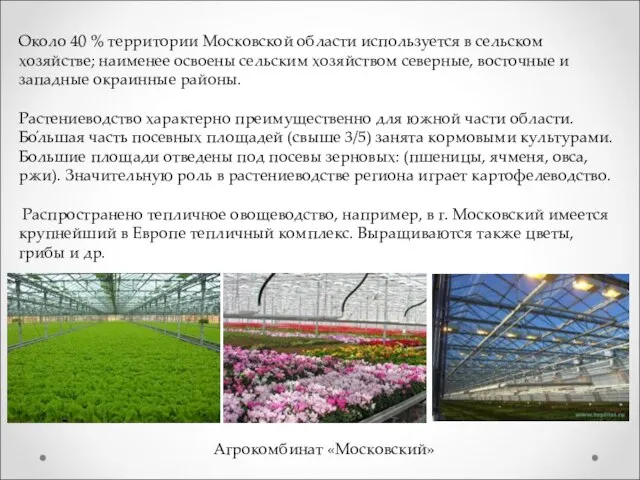 Около 40 % территории Московской области используется в сельском хозяйстве; наименее освоены