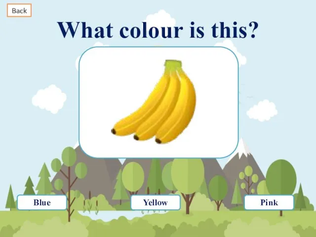 What colour is this? Blue Yellow Pink Back