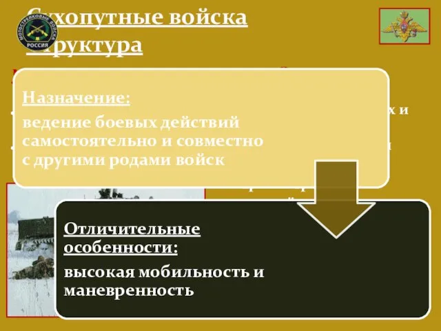 Сухопутные войска Структура Оснащение: вооружение для поражения наземных и воздушных целей ракетные