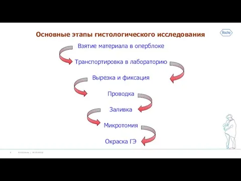 Основные этапы гистологического исследования Взятие материала в оперблоке Транспортировка в лабораторию Вырезка