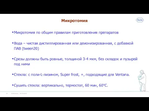 Микротомия Микротомия по общим правилам приготовления препаратов Вода – чистая дистиллированная или