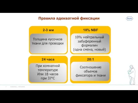 Правила адекватной фиксации