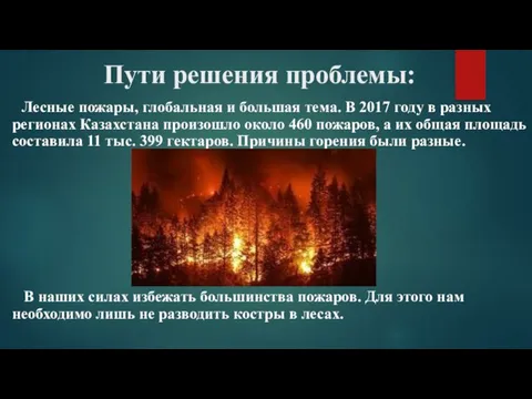Пути решения проблемы: Лесные пожары, глобальная и большая тема. В 2017 году