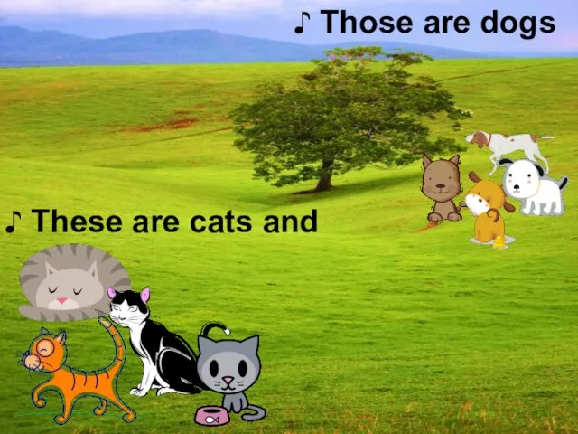 ♪ These are cats and ♪ Those are dogs