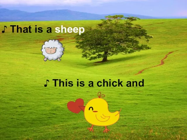 ♪ This is a chick and ♪ That is a sheep